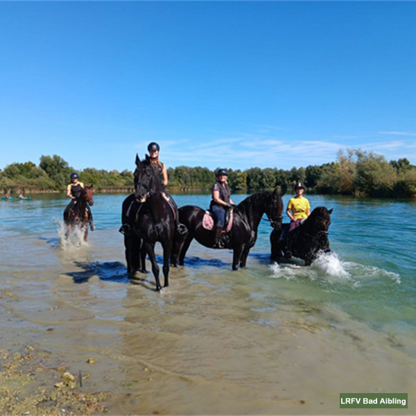 jquery image carousel